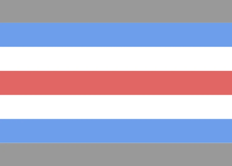 File:Alternate Intrafeminflux Flag.webp