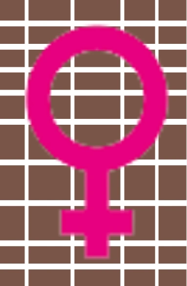 File:Genderwallgirl-Wallgirl.png