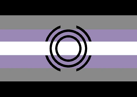 File:Demigendervoid Flag.png