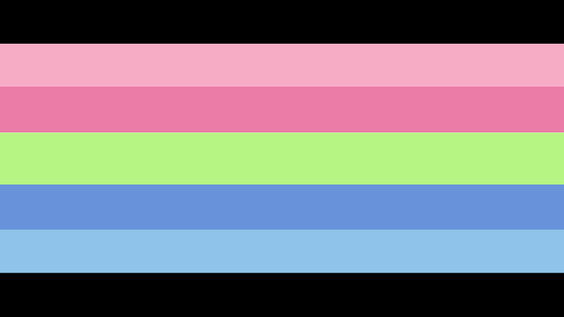 File:Biroagender flag 2.png
