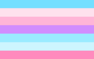The Transmascfem flag