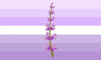 File:Lavenderflavic Alt2.jpg