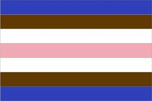 File:Tomboy Pride flag.png