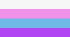 Cis-Genderless Flag