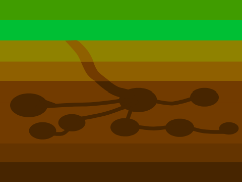 File:Burrowgender Flag.png