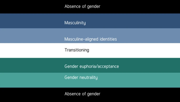 File:Transmasc alt flag meanings.webp