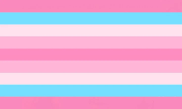 File:Trans transfem.jpg