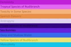 File:Nudibranchgender Meanings.png