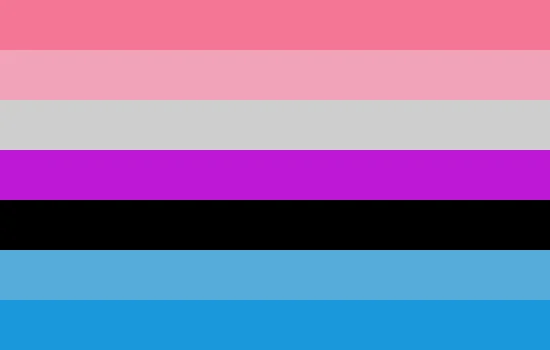 File:Double-Bi Fluidflux Flag.webp