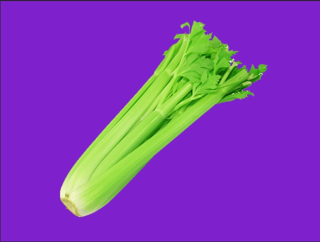 File:Ourple gender flag.png