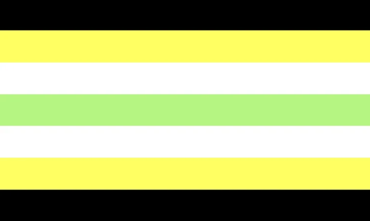 File:Agender nonbinary flag.webp