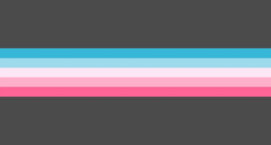 Gender Conforming.jpg