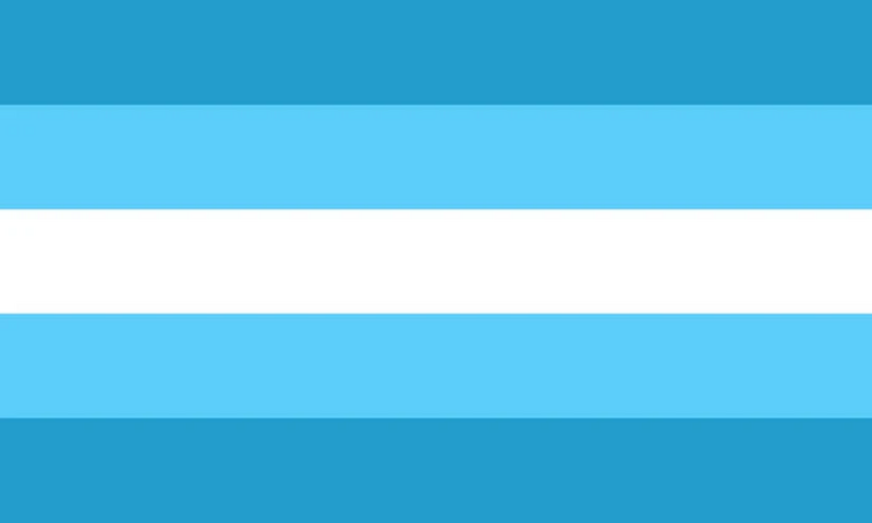 File:Transmasc flag 5.jpg