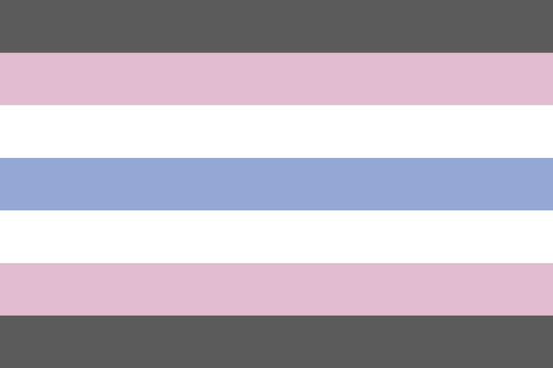 File:Transorexiagender flag.png