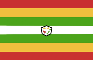 Alternate flag