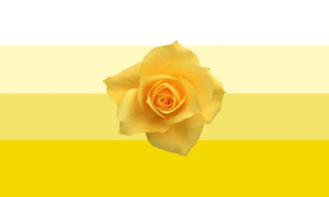 Yelrosunshiplemic flag