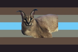 FLoppagender Alt4.png