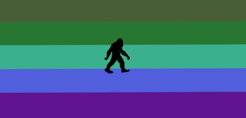 File:Cryptidgender flag.png