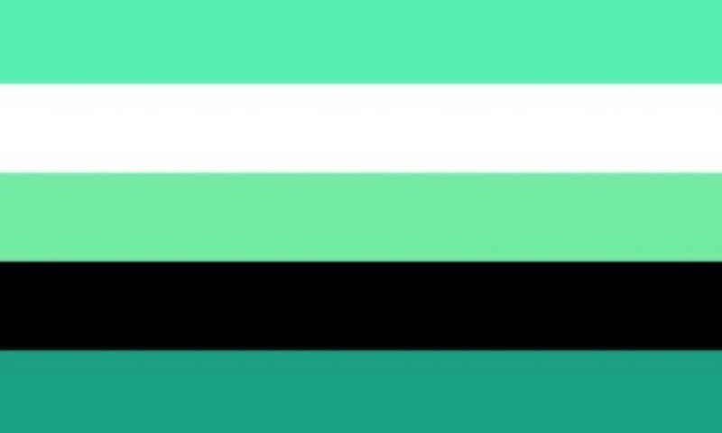 File:DIDGender Flag.jpg