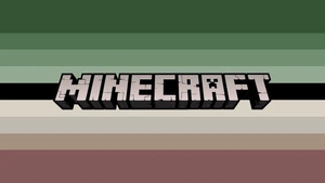 Minecraftgender 9.jpg