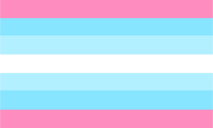 Transmasc flag 41.png