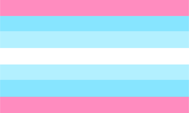 File:Transmasc flag 41.png
