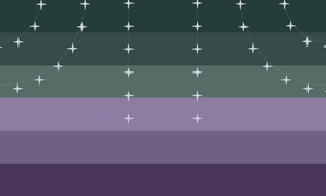 First alternate flag