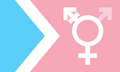 Transfeminine MtF woman flag[5]