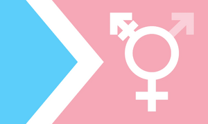 Transfeminine mtf woman.jpg