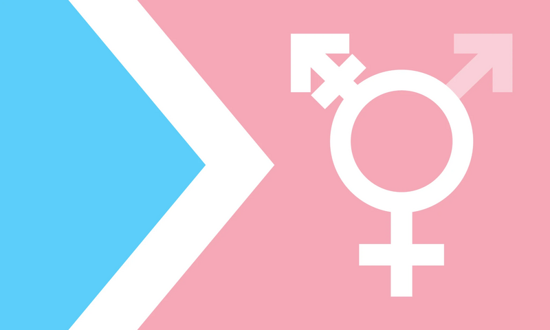 File:Transfeminine mtf woman.jpg