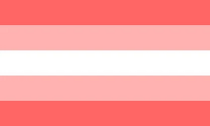 Travesti flag.jpg