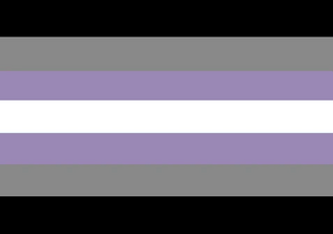 Alternate demigendervoid flag.png