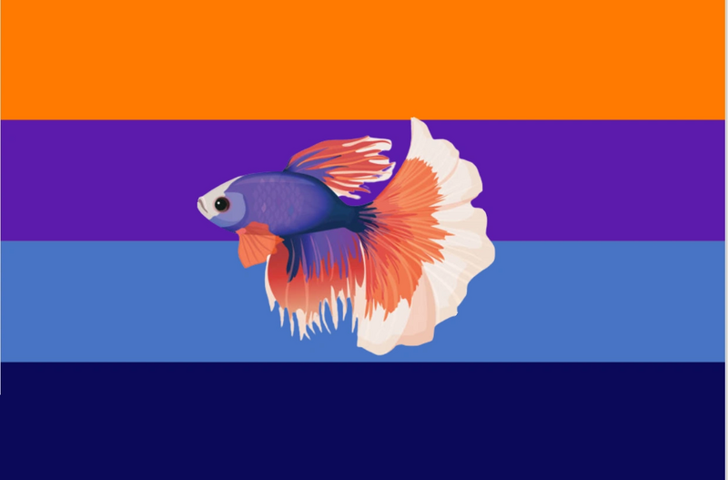 File:Bettagender Flag.png
