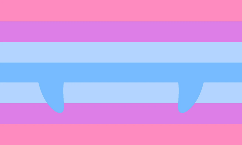 File:Trancavimp flag.jpg
