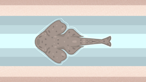Angelshark.png