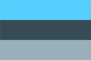 Transmasc flag 38.jpg