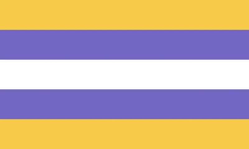 File:Transmasc flag 17.jpg