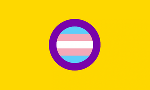 Trans-Intersex-Flag-Higher-Quality.png
