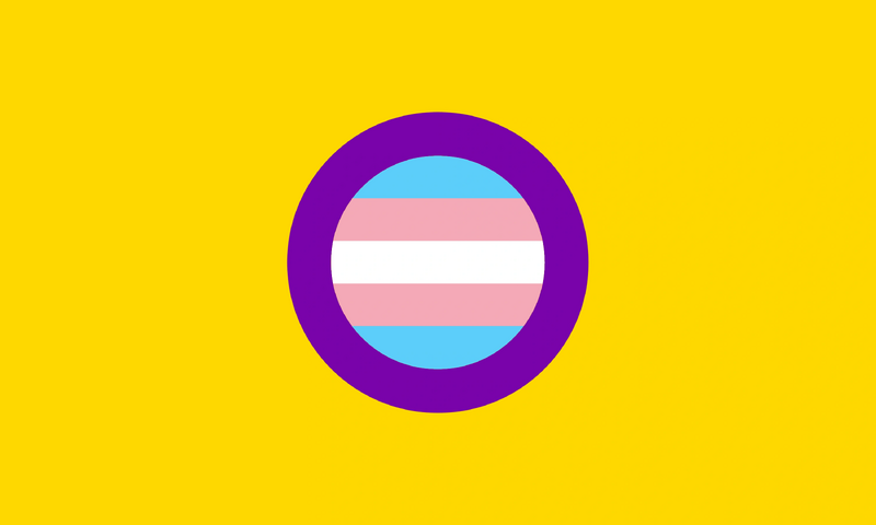 File:Trans-Intersex-Flag-Higher-Quality.png