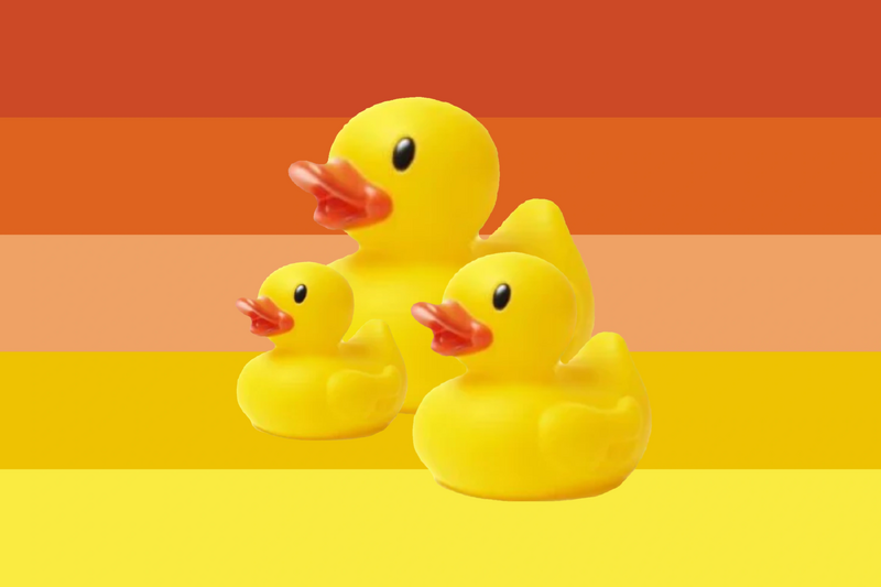 File:Cruisingduckgender flag.png