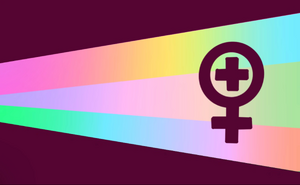 Girl+fluix flag.webp