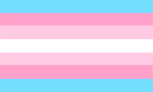Transfeminine flag21.png