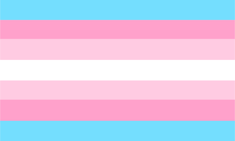 File:Transfeminine flag21.png
