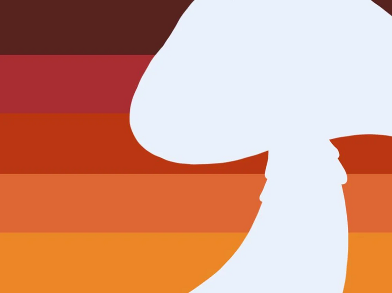 File:Agaricgender Flag.webp