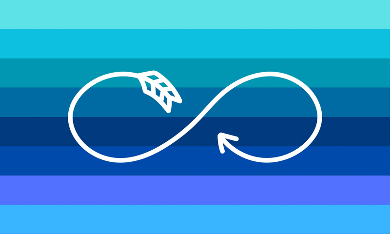 File:Infinitiboy flag.png