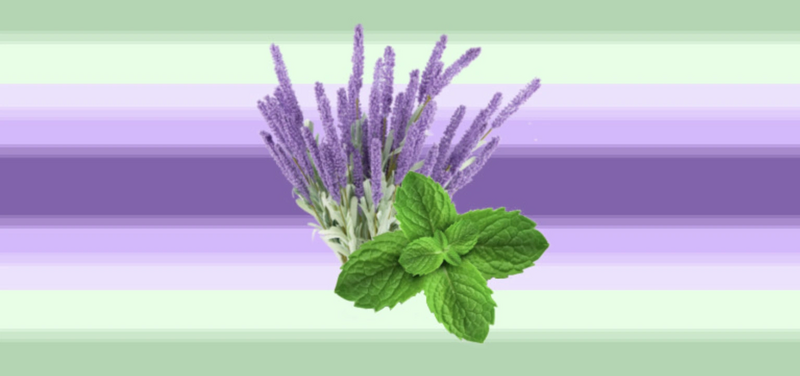 File:Pepmintlavenderic.png