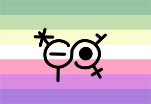 Genderfae Flag With Symbol.png