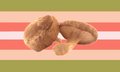 Fourth mushroomgender flag by Thatgaybestfriend[1]