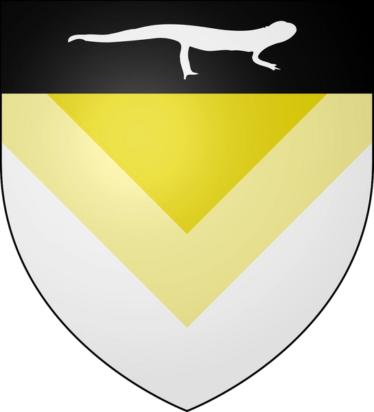 File:Transneutral coat of arms.png