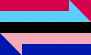 Transsexual pride flag.webp